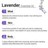 Keya Seth Aromatherapy Lavender Essential Oil