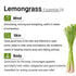 Keya Seth Aromatherapy Lemongrass Essential Oil