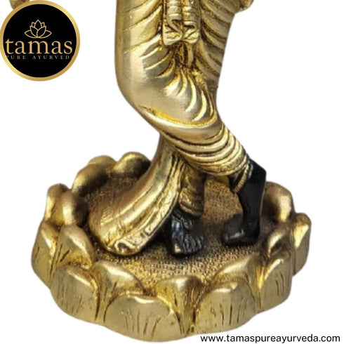 Tamas Brass Handcrafted Lord Krishna Murti Statue/ Idol with Antique Finish ( Black & Golden) (Pack of 1)