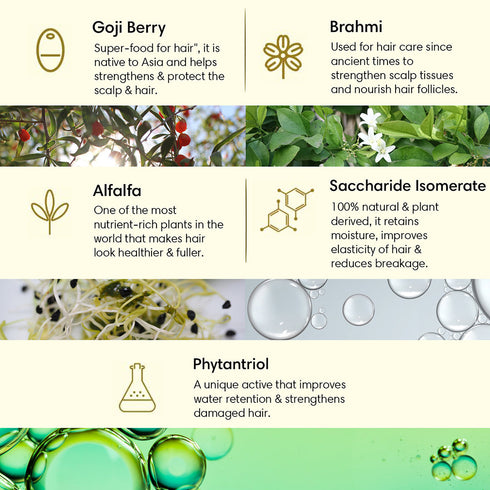 Theearthcollective in Combo Nourishing Hair Hair Cleanser & Conditioner Pack