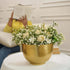 Behoma Elegance Bowl Vase