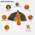 Raj Fancy Dresses Radha and Krishna Cotton| Lehriya Janmashtami Mythological Character Costume