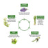 Keya Seth Aromatherapy Alopex Absolute, for Acute Hair Fall & Hair Growth Water Based Solution