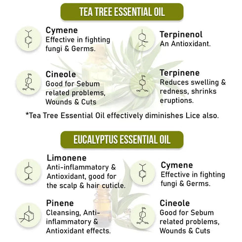 Keya Seth Aromatherapy Anti Dandruff Treatment Kit Shampoo & Solution with Salicylic, Tea Tree & Pentavitin