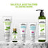 Keya Seth Aromatherapy Complete Acne Solution Kit