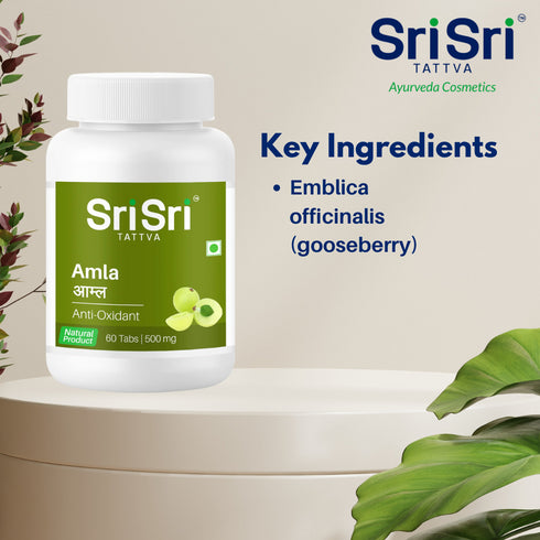 Sri Sri Tattva Amla Tablet 60tabs