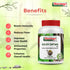 Sharmayu Ayurveda Giloy Satwa Spl Giloy Satwa Immunity Booster and Longevity Enhancer 100g
