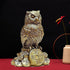 Shui Owl Showpiece for Home & Office Vastu Decorative Owl Statue for Wisdom, Protection & Good Luck