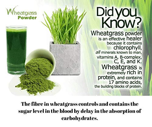 Herbal Hills Ayurveda Wheat-O- Powder