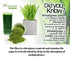 Herbal Hills Ayurveda Wheat-O- Powder