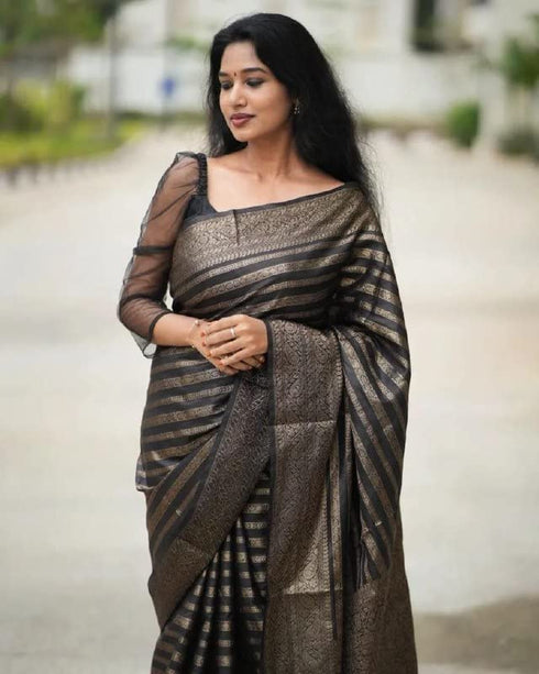 Vasthrlay Saree