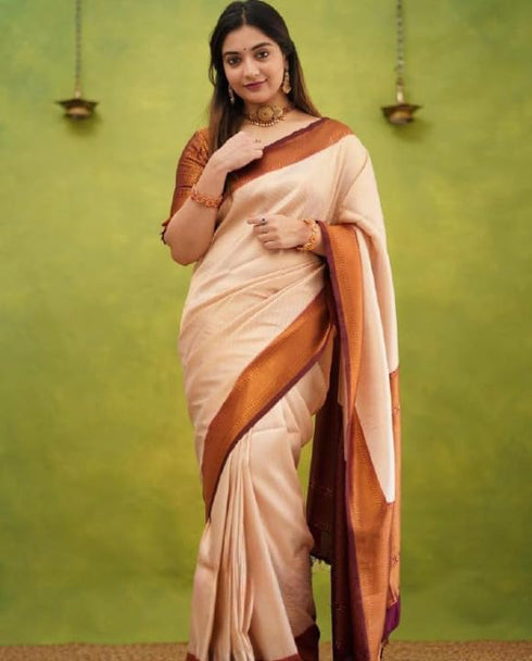 Vasthrlay Banarasi Saree