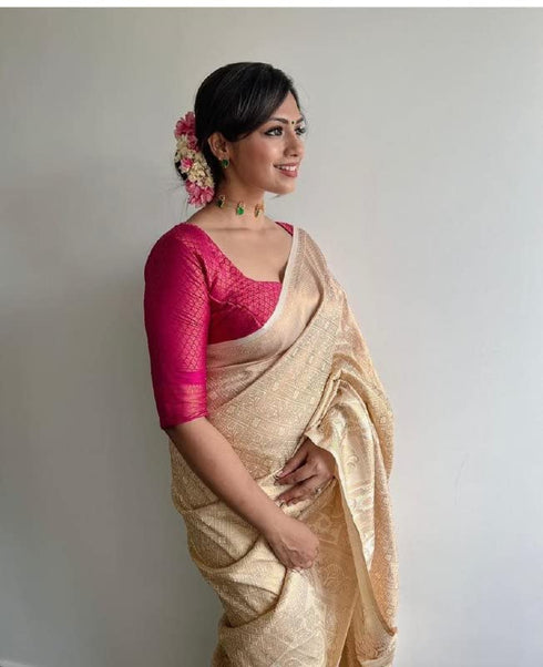 Vasthrlay Banarasi Border Saree