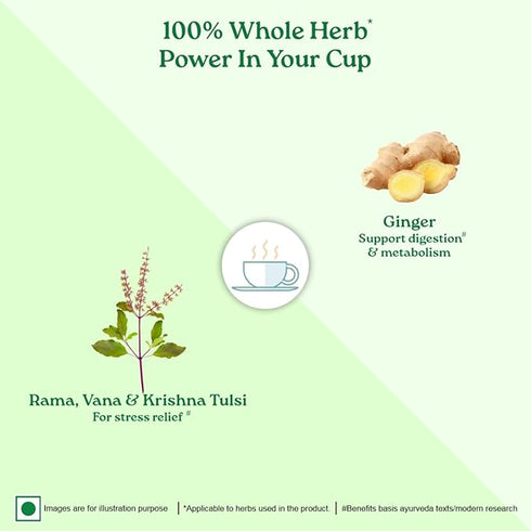 Organic India Infusion Tea Bags - Tulsi Ginger