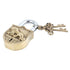 Tiger Engraved Design Brass Padlock Door Lock With 2 Keys