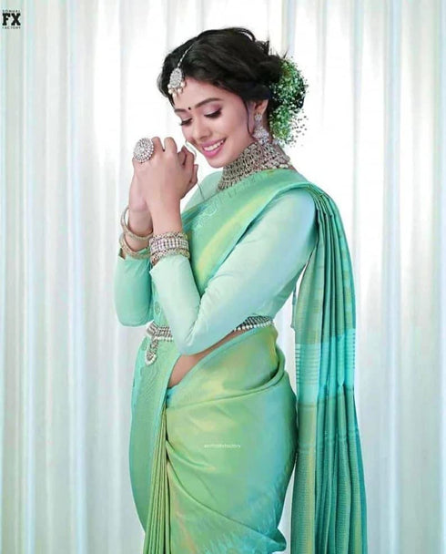 Vasthrlay Banarasi Saree