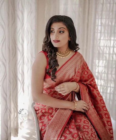 Vasthrlay Banarasi Border Saree