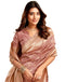 Vasthrlay Jacquard Kanjivaram Unstitched Light Green Saree