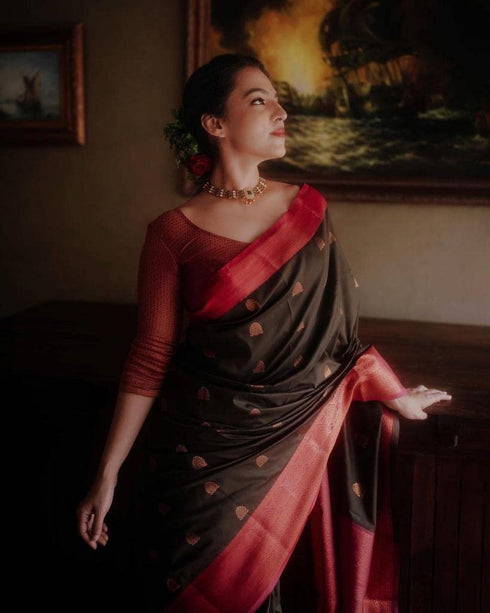 Vasthrlay Black Kanjivaram Wedding Saree