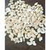Kitchen Jungle Premium Broken Cashew Nuts