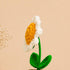 Crochet Daisy Flower Pot