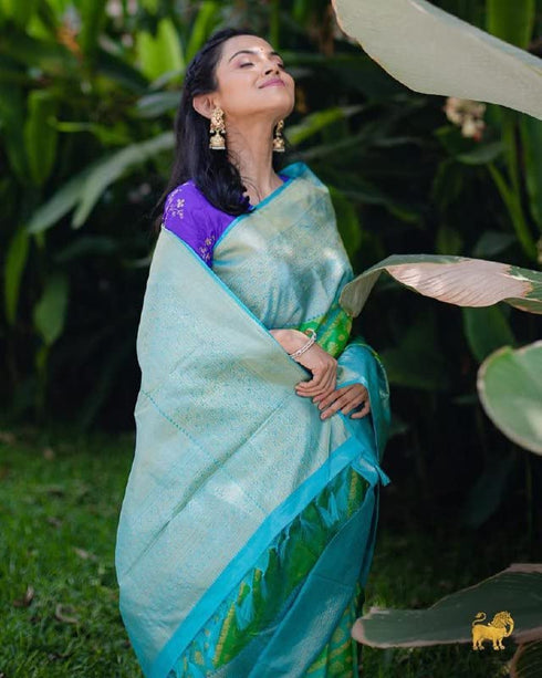 Vasthrlay Banarasi Saree