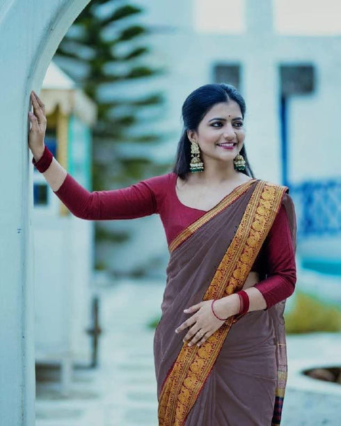 Vasthrlay Banarasi Saree