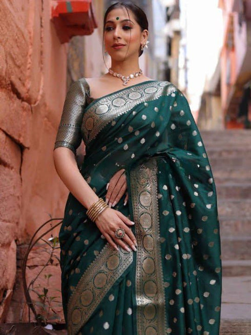 Vasthrlay Banarasi Saree