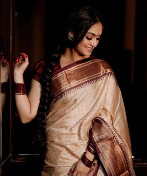 Vasthrlay Border Saree