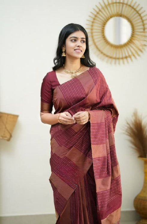 Vasthrlay Banarasi Saree