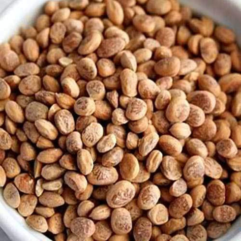 NatureVit Almondette Seeds (Chironji/Charoli)