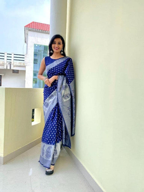 Vasthrlay Banarasi Saree