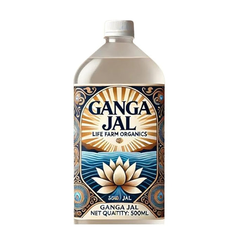 Prayagraj Mahakumbh Gangajal