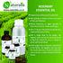 Naturalis Essence of Nature Rosemary Essential Oil 10ml