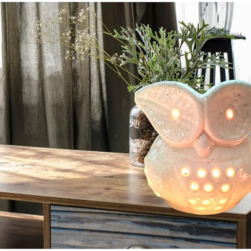 Ceramic Owl Shape Electric Essential Oil Diffuser | Perfect for Home Decor & Relaxation