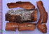 Pmw Natural Bark Soymida Febrifuga | Indian Redwood | Rohan | Somidi