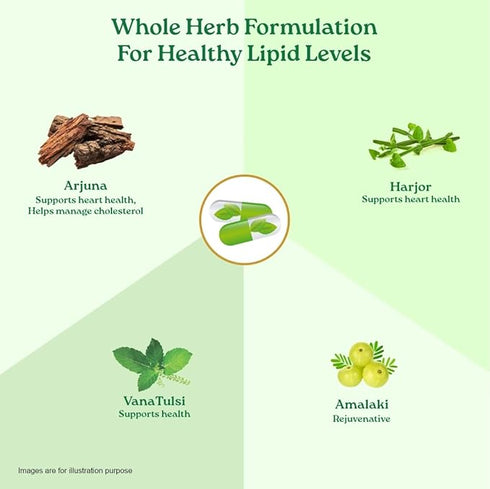 Organic India Organic Lipid Care Veg Capsules