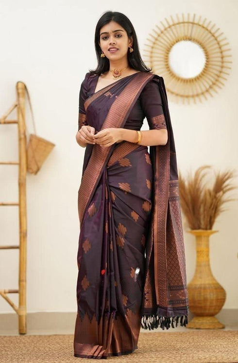Vasthrlay Kanjivaram Saree