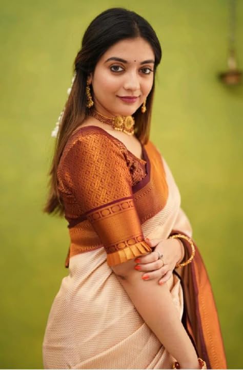 Vasthrlay Banarasi Saree