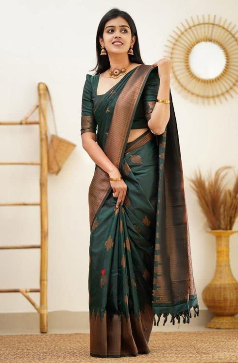 Vasthrlay Kanjivaram Saree