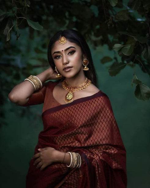 Vasthrlay Banarasi Saree