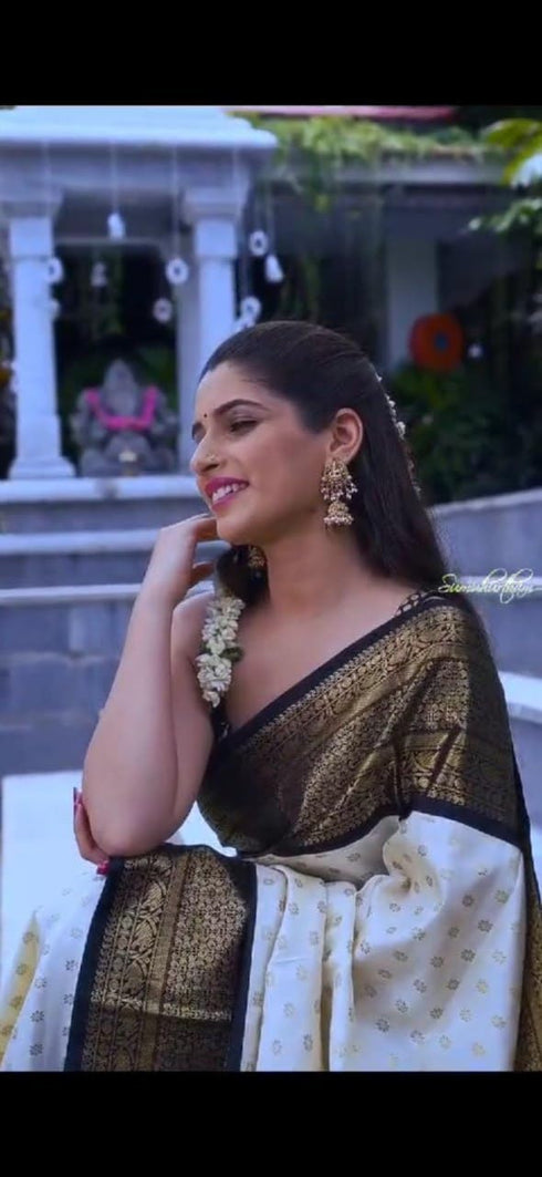 Vasthrlay Kanjivaram Traditional Saree