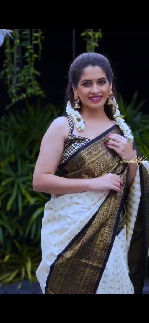 Vasthrlay Kanjivaram Traditional Saree