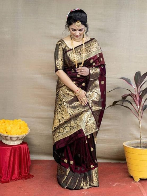 Vasthrlay Banarasi Kanjivaram Wedding