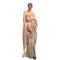 Vasthrlay Kanjivaram Banarasi Festival Unstitched Saree