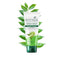 Biotique Fresh Neem Pimple Control Face Wash