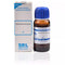 SBL Piper Methysticum Mother Tincture Q 30ml