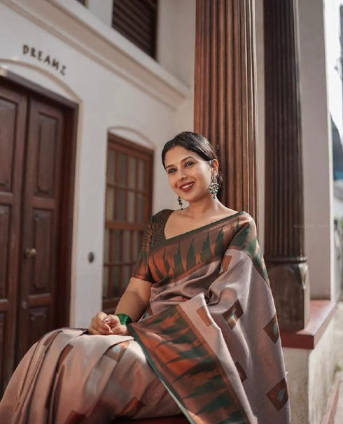 Vasthrlay Banarasi Saree