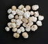 NatureVit Whole Dried Kachari Authentic Rajasthani Sundried Kachari