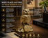 Shui Owl Showpiece for Home & Office Vastu Decorative Owl Statue for Wisdom, Protection & Good Luck